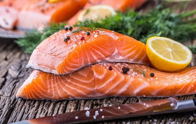 SALMON FISH
